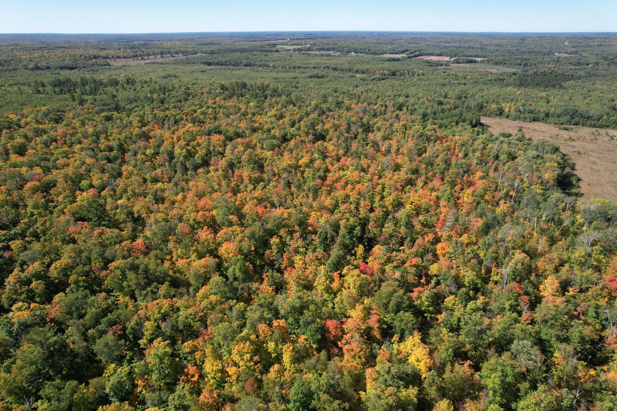 dji_fly_20260922_115612_107_1790096336808_photo.jpg