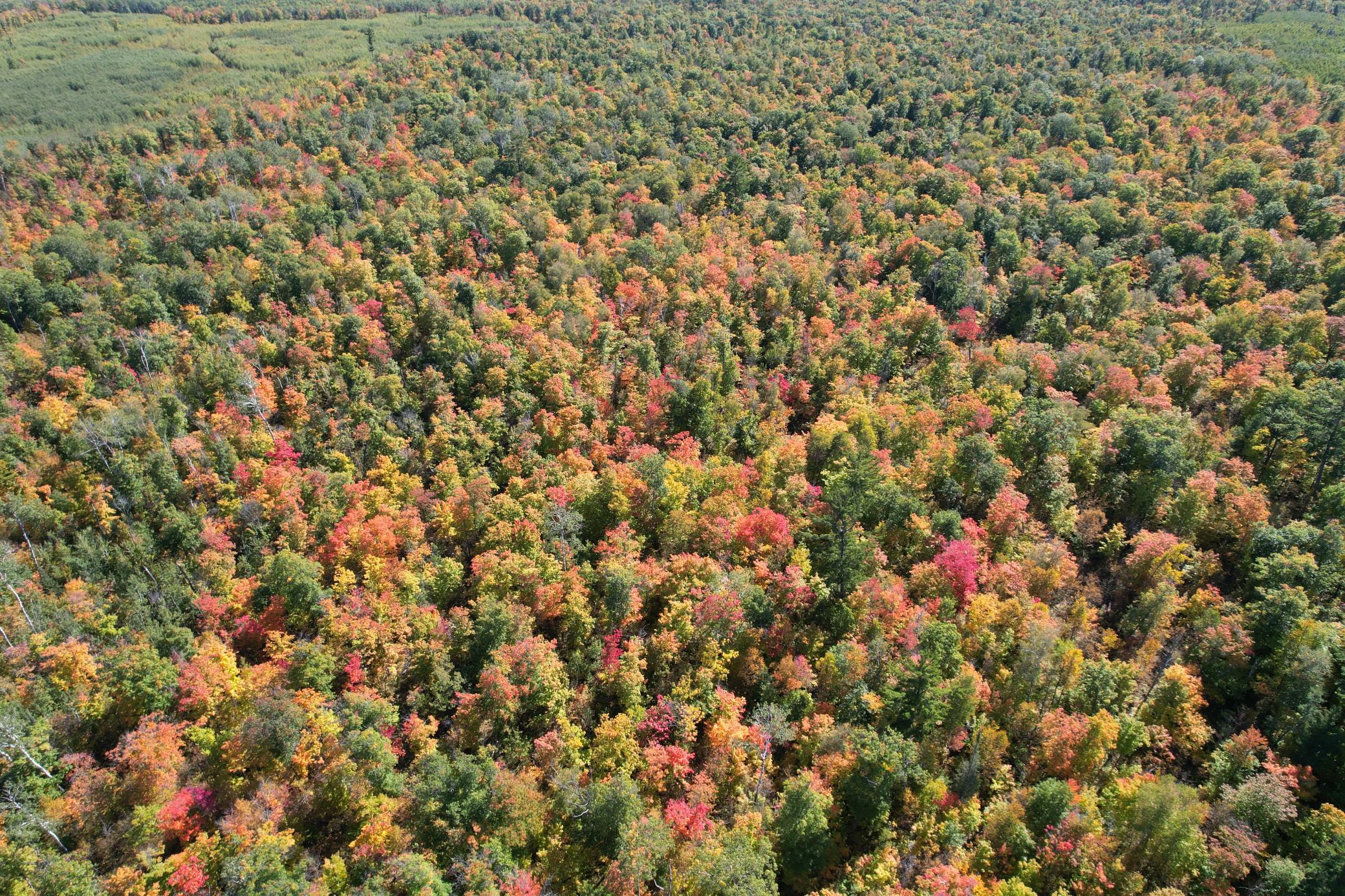dji_fly_20260922_115522_105_1790096342286_photo.jpg
