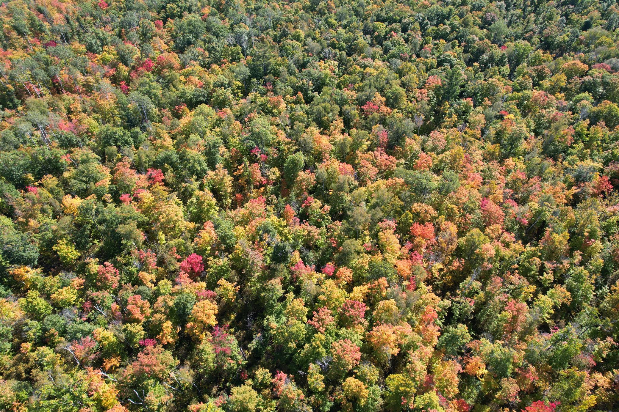 dji_fly_20260922_115538_106_1790096339628_photo.jpg