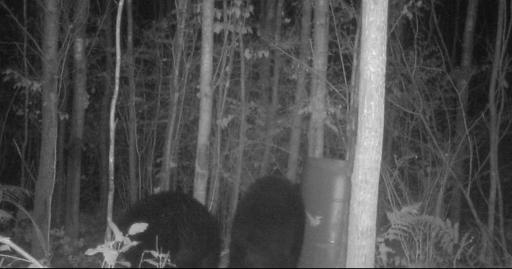 Photo 40