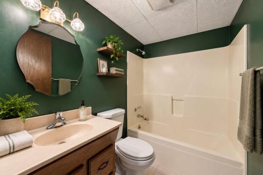 Lower Level Bathroom