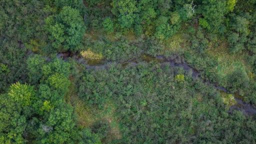 DJI_20260918000006_0050_D.jpg