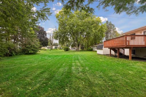 Expansive backyard with plenty of open green space