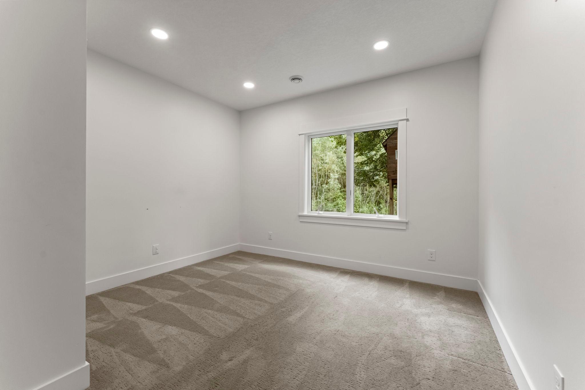 Lower level 5th bedroom
