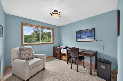 Bedroom/Office/Flex Lower Level