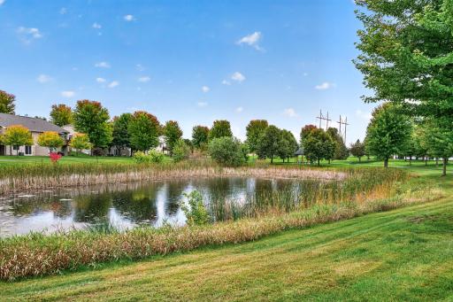 Pond