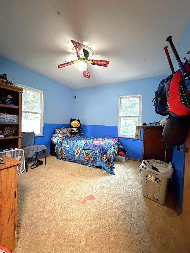 65 1st Street SE, Elgin, MN 55932