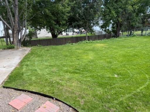 backyard.jpg