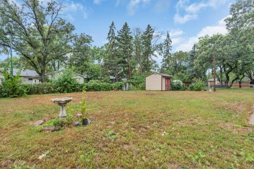 246 backyard.jpg