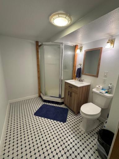 Lower Level Bath.jpeg