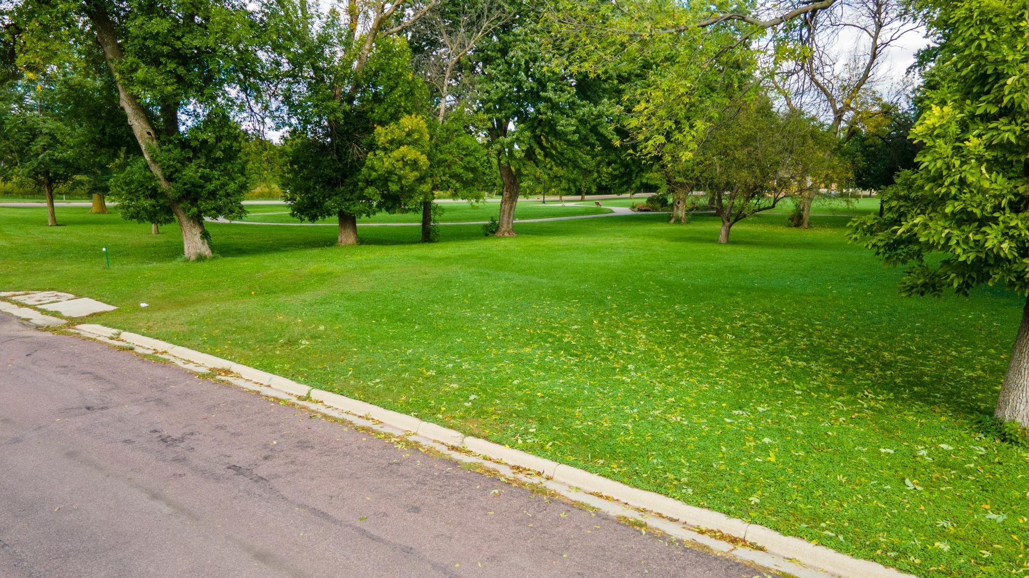 DJI_0719.jpg