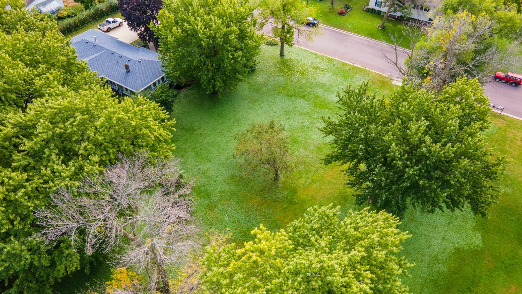 DJI_0729.jpg