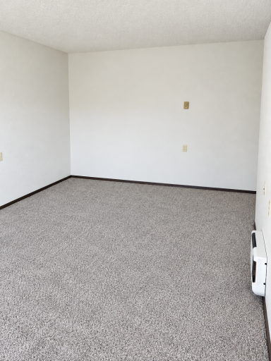 700 3rd Street, #4, Barrett, MN 56311