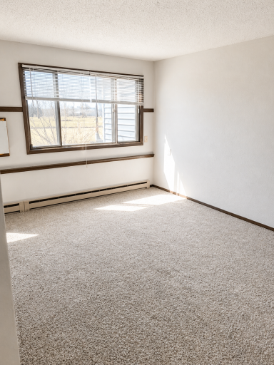 700 3rd Street, #4, Barrett, MN 56311