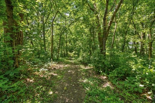 12659 Terrace Lane, Little Falls, MN 56345