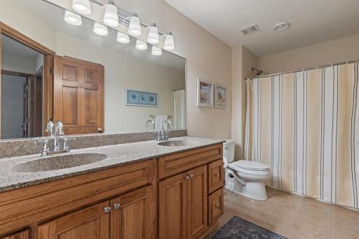 18711 Farmstead Circle, Eden Prairie, MN 55347