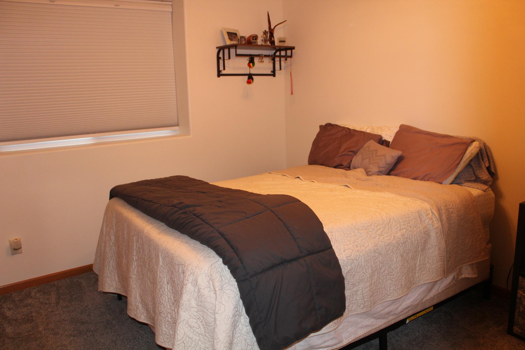 Lower level bedroom