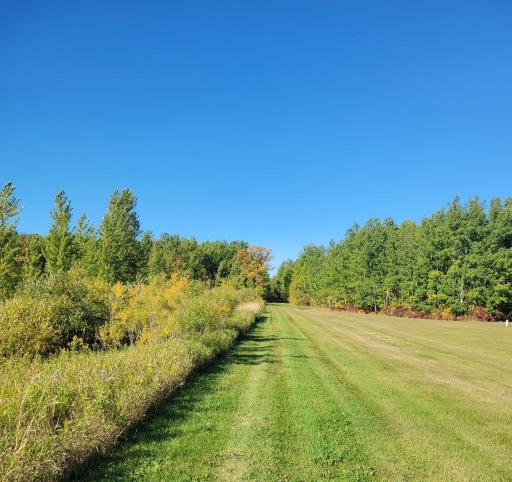 Road into Property