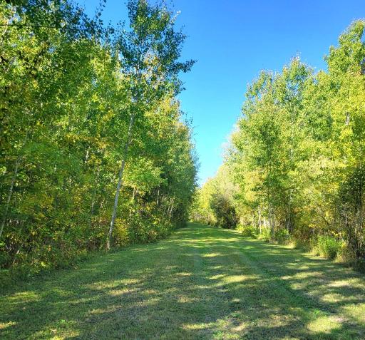 Road into Property