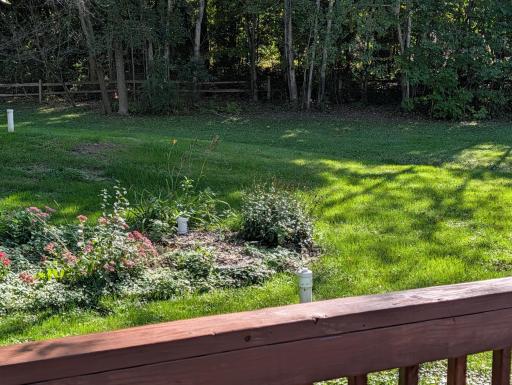 Bergmann Backyard Garden.jpg
