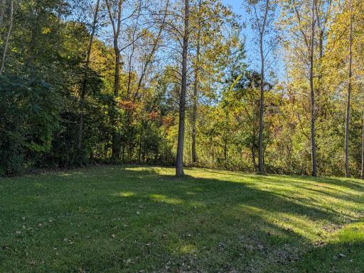 Bergmann Backyard Southwest Corner.jpg
