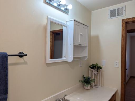 Bergmann Bathroom 1.jpg
