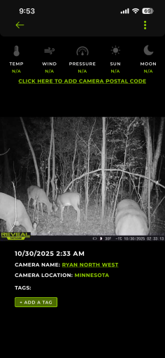 TBD Stark Road, Harris, MN 55032