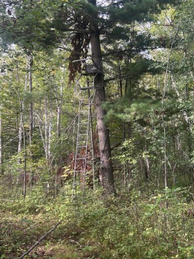 TBD Stark Road, Harris, MN 55032