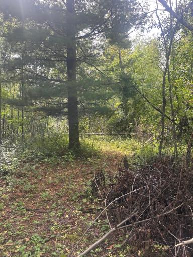 TBD Stark Road, Harris, MN 55032