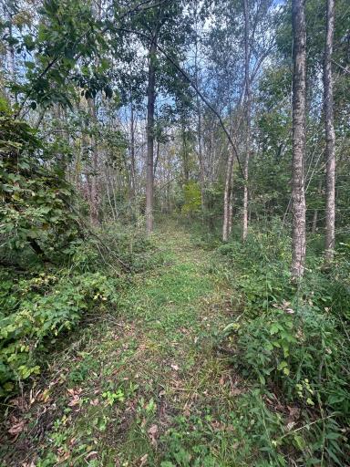 TBD Stark Road, Harris, MN 55032