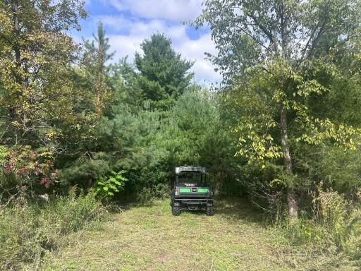 TBD Stark Road, Harris, MN 55032