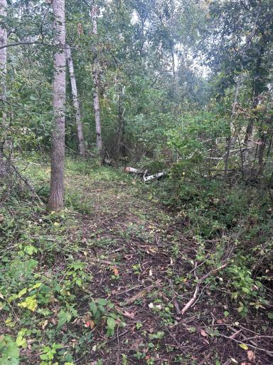 TBD Stark Road, Harris, MN 55032