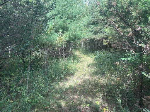 TBD Stark Road, Harris, MN 55032