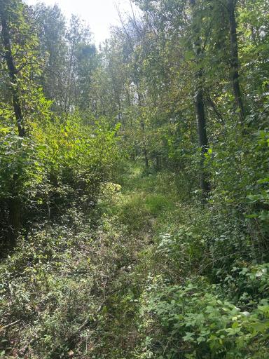 TBD Stark Road, Harris, MN 55032