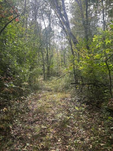TBD Stark Road, Harris, MN 55032