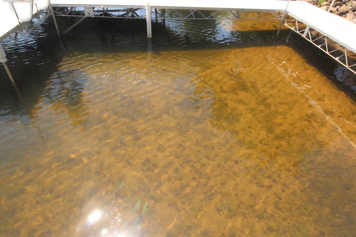 Great lake clarity!