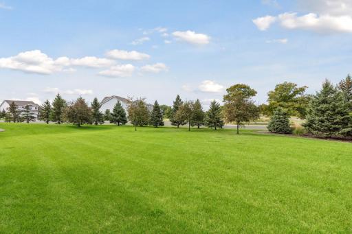 Largest Lot in the development