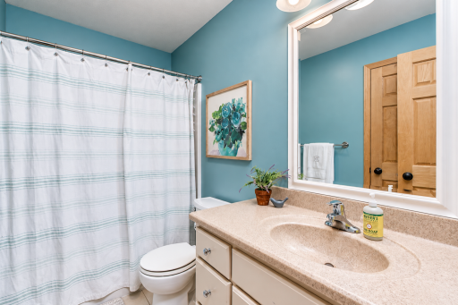 44229 Willow Road, Saint Peter, MN 56082