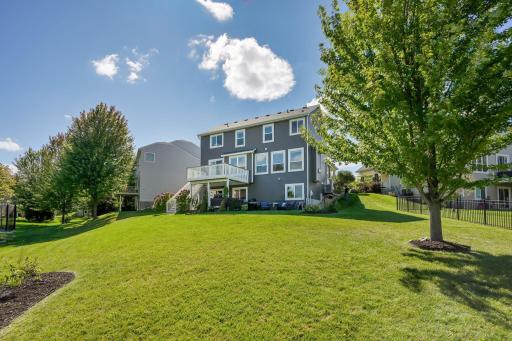 Amazing backyard with tons of green space!