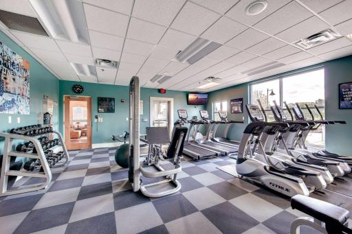11788 Harvest Path, Woodbury, MN 55129