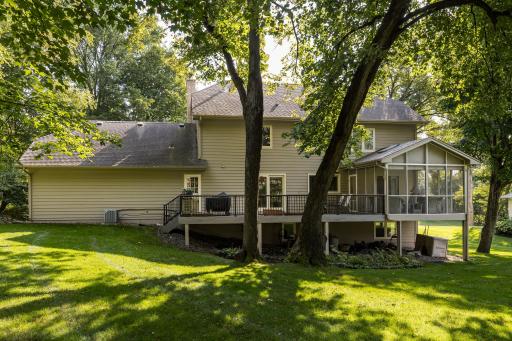 back yard 2.jpg