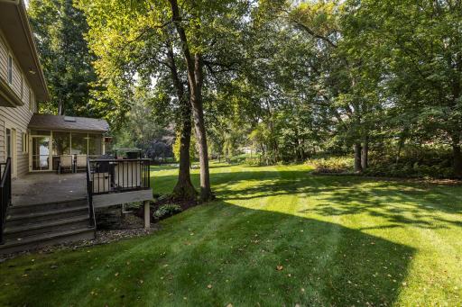 back yard 1.jpg