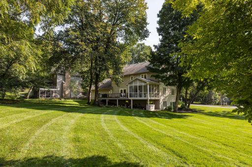 back yard 3.jpg
