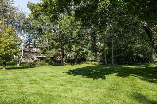 back yard 4.jpg