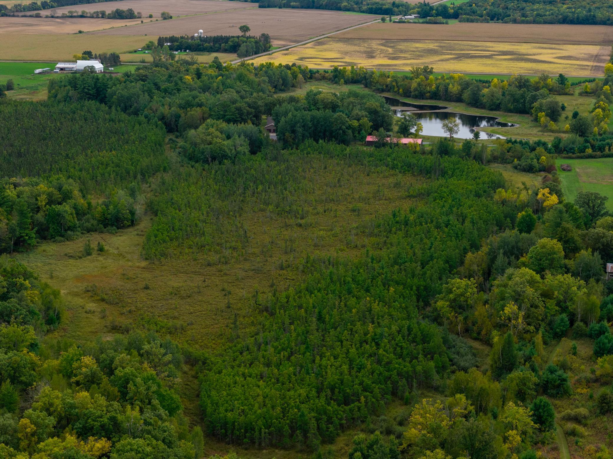 Brill-40-Acres-32.jpg