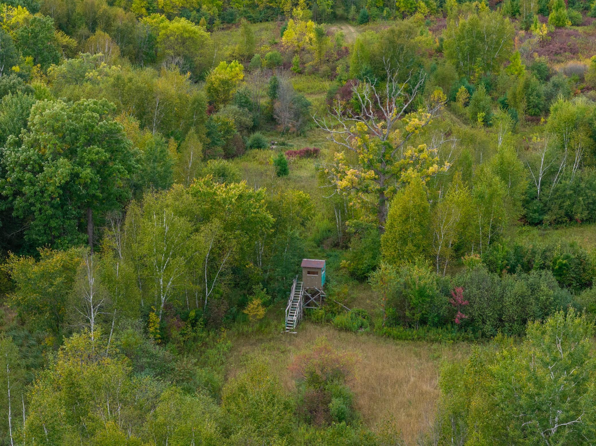 Brill-40-Acres-25.jpg