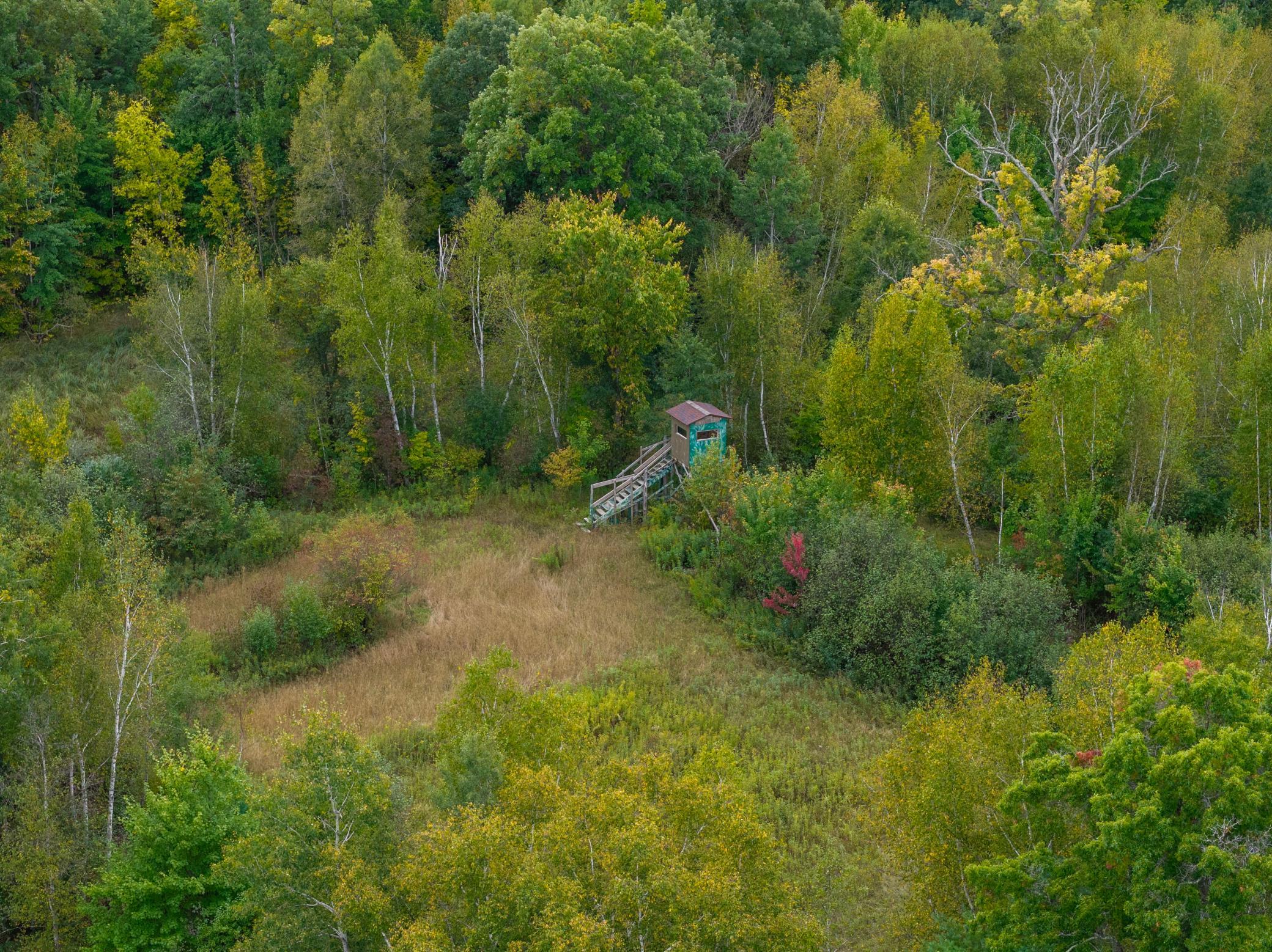 Brill-40-Acres-24.jpg