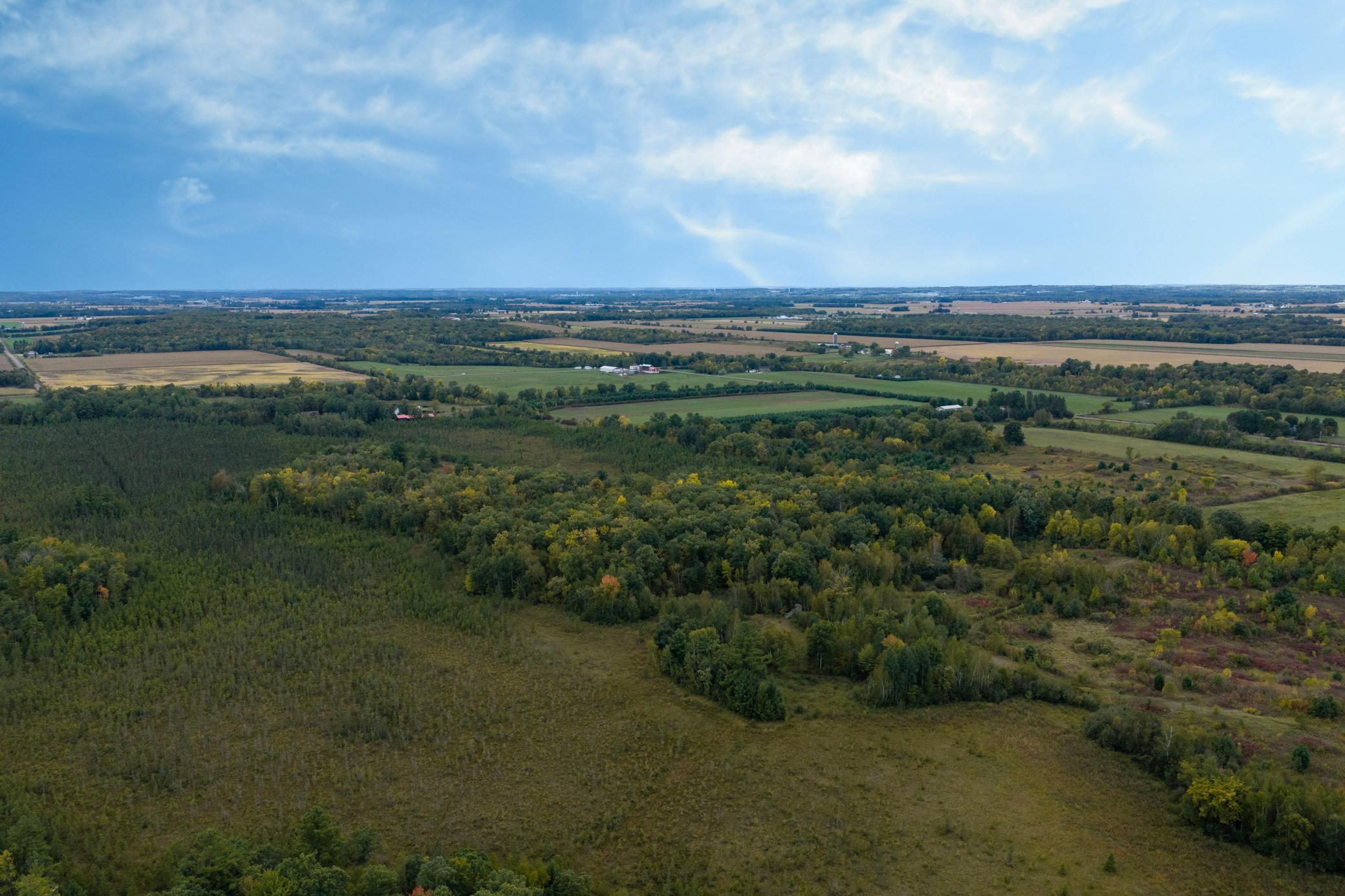 Brill-40-Acres-7.jpg