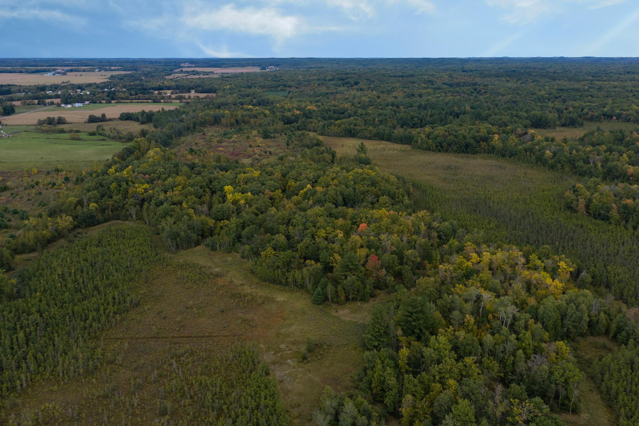 Brill-40-Acres-14.jpg