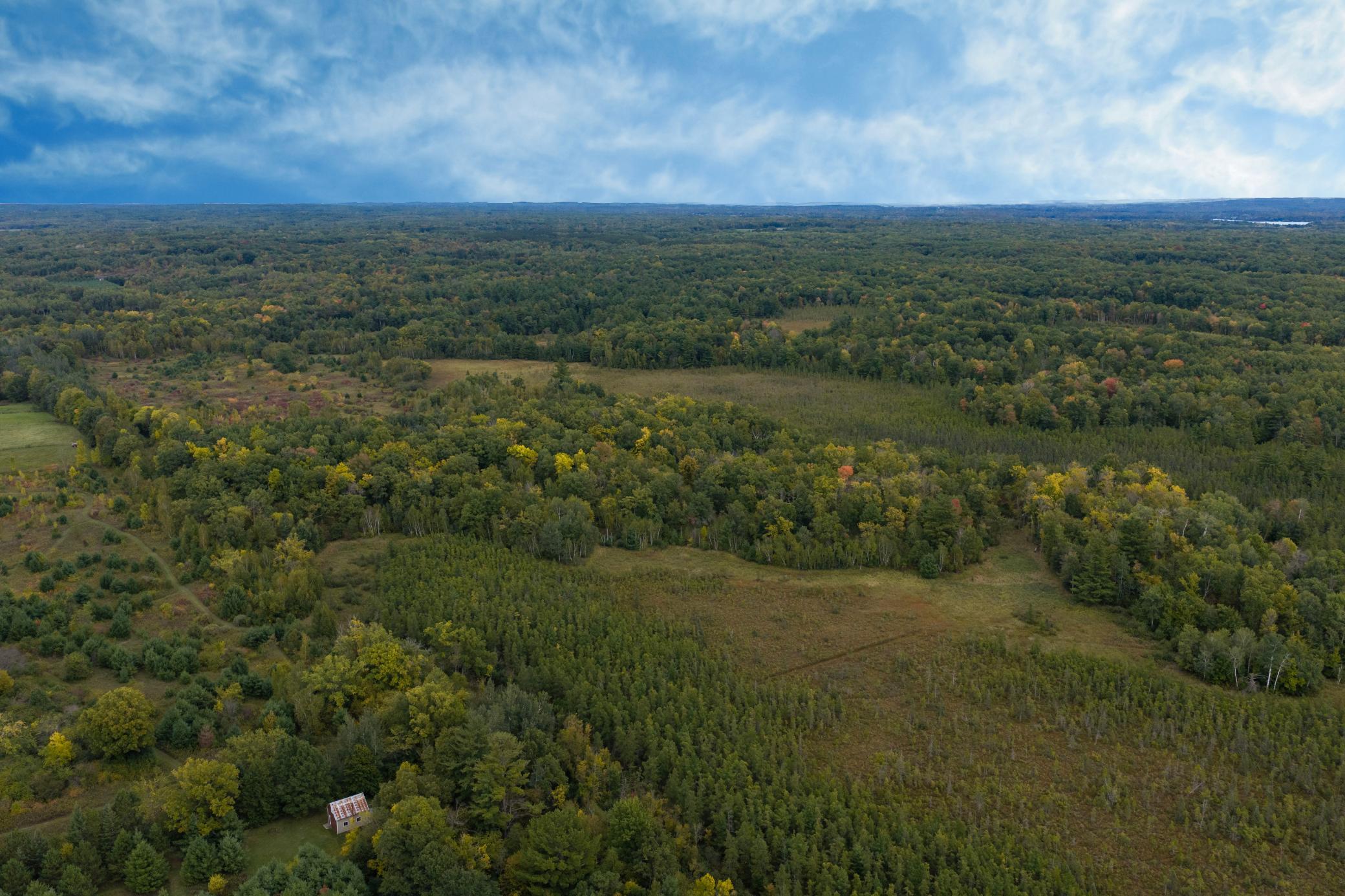 Brill-40-Acres-17.jpg